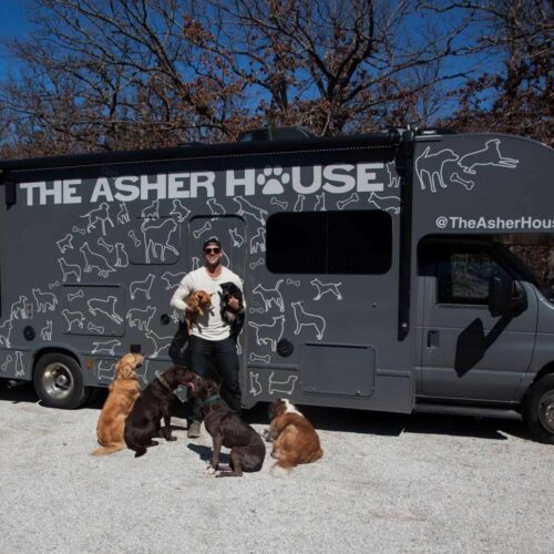 Asher House Animal Sanctuary