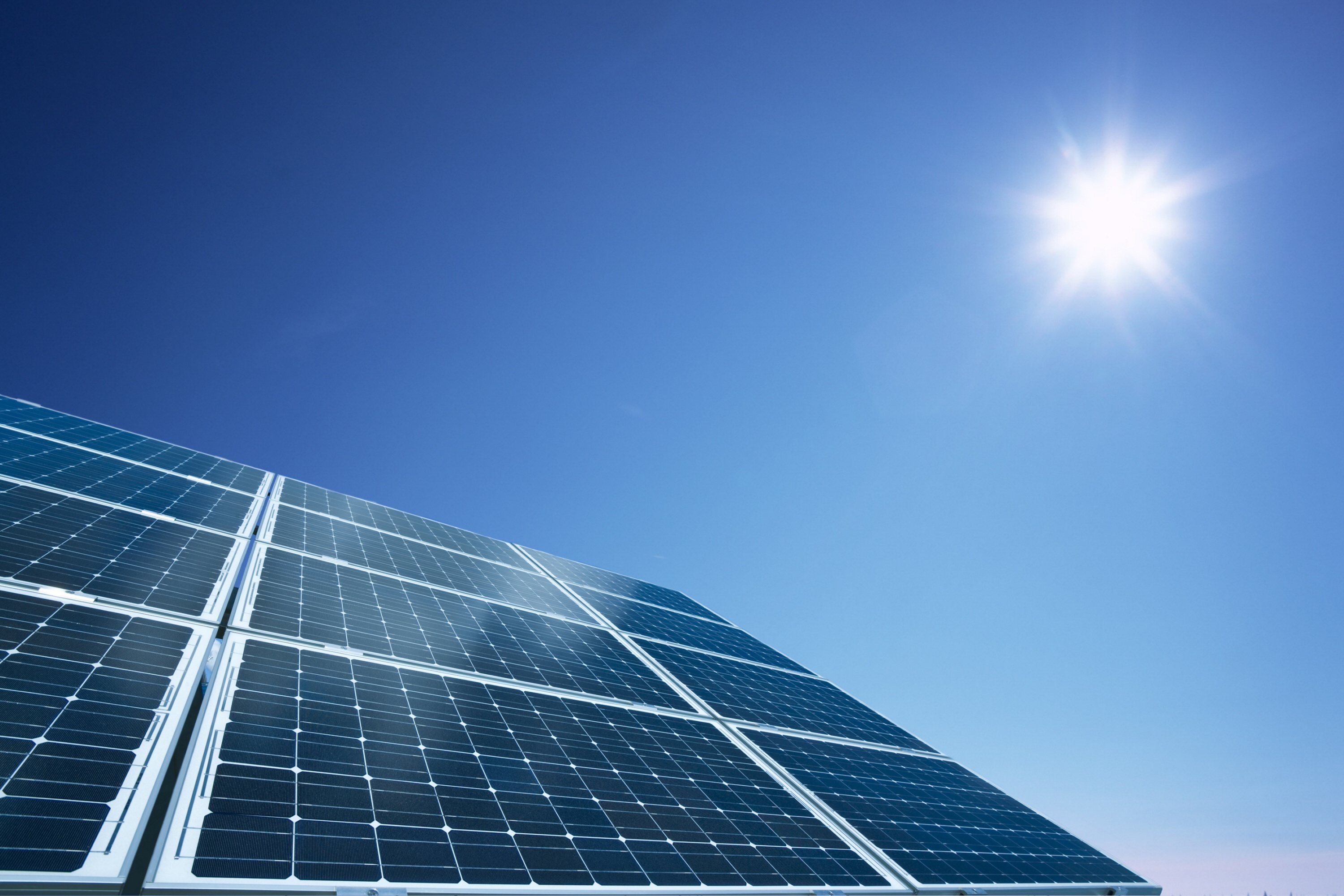 Relion-Blog-4-Questions-To-Ask-Before-You-Invest-In-Lithium-Solar-Power.jpg#asset:1203