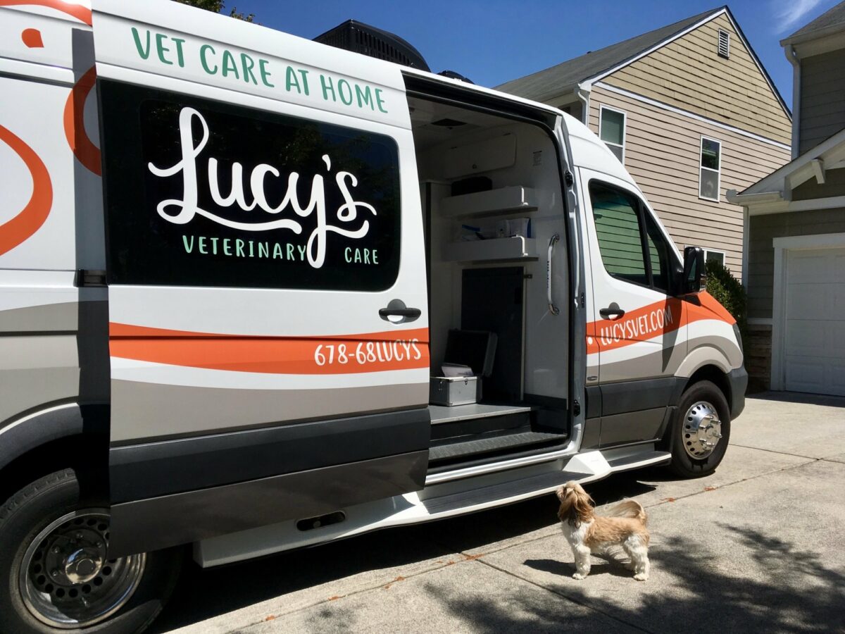 Dj Story Mobile Pet Grooming Veterinary Van 3