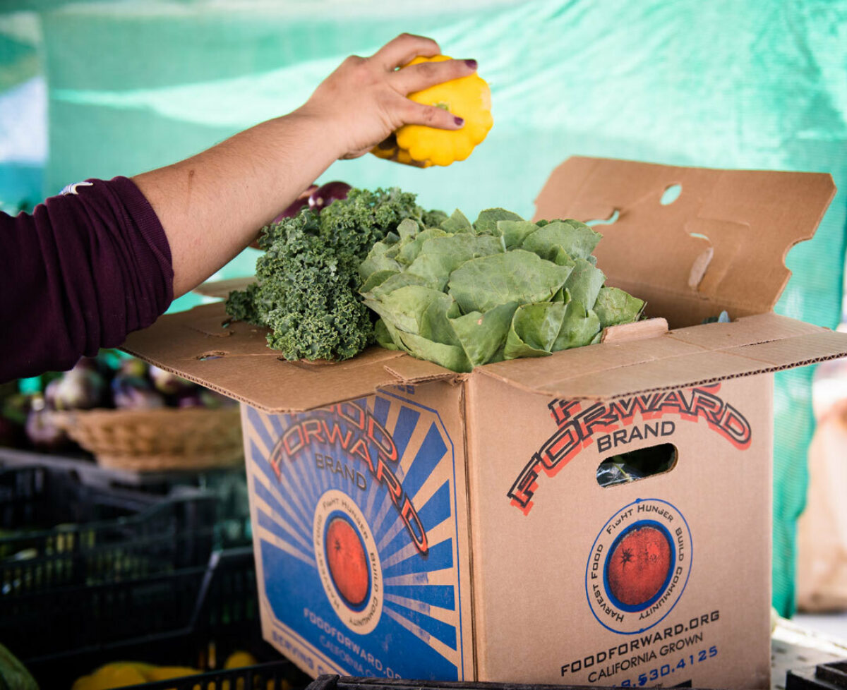 Celebrating World Food Day With Food Forward