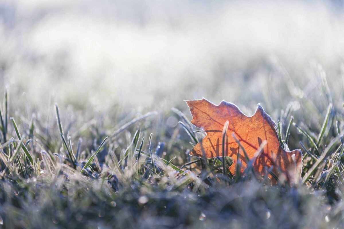 Lithium Ion Batteries In Cold Weather
