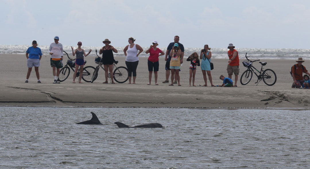 Dolphin Protection Educational Seminar Dolphin Protection Educational Seminar