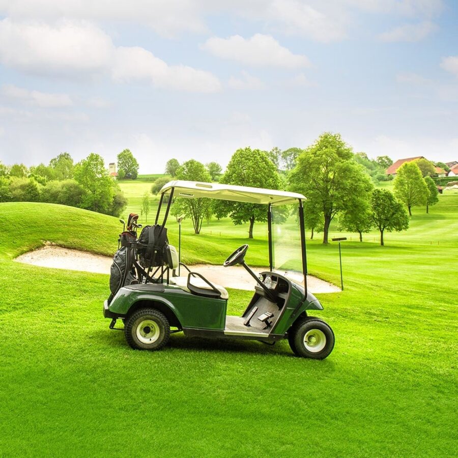 https://relion-battery.s3.us-east-1.amazonaws.com/images/hero/_zPattern/Golf-Cart-Battery-Lithium.jpg